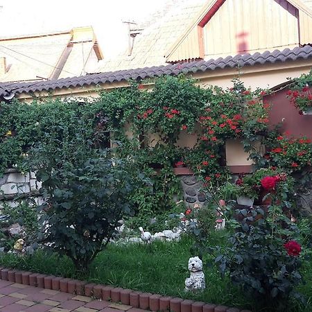 Pensiunea Beltina Rasinari Exterior foto