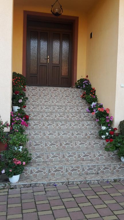 Pensiunea Beltina Rasinari Exterior foto