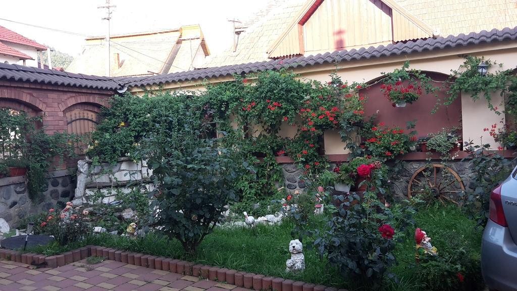 Pensiunea Beltina Rasinari Exterior foto