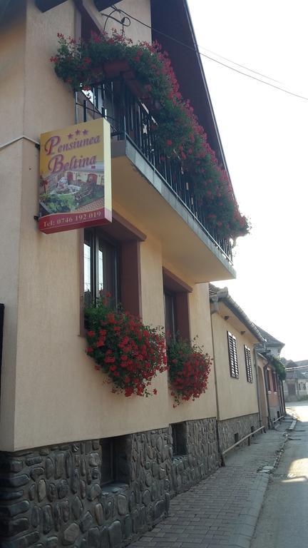 Pensiunea Beltina Rasinari Exterior foto
