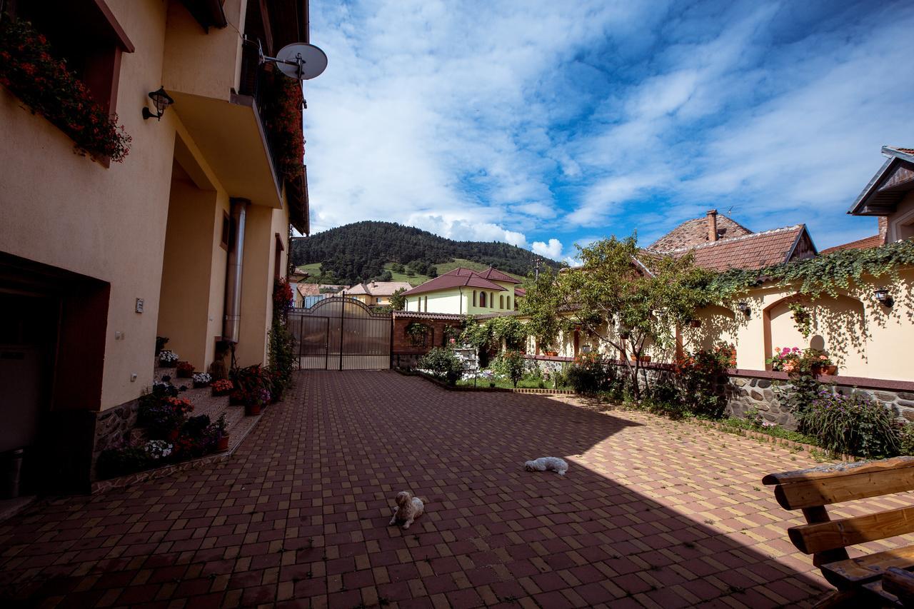 Pensiunea Beltina Rasinari Exterior foto