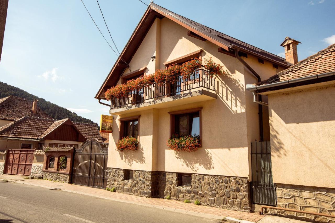 Pensiunea Beltina Rasinari Exterior foto